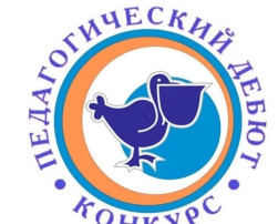 Участвуем в городском конкурсе "Педагогический дебют" Участвуем в городском конкурсе "Педагогический дебют".